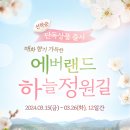 용인 에버랜드 하늘정원길 매화꽃 축제 2024.3.30(토) 이미지