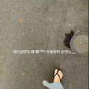 봉방9길 9, (봉방동) 이미지