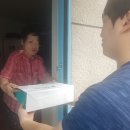 스텔라토 이미지