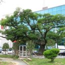 강진우체국 이미지