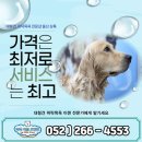 몽앤뭉 이미지