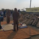 제주옹기박물관 이미지