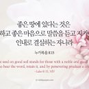 Noble Hear 이미지