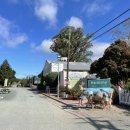 Harmony-ca 네이버블로그