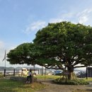 만호 방대령 선정비 이미지