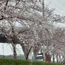 한냉 이미지
