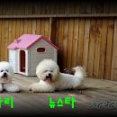 카페애띠 이미지