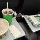 플러피 홀리데이 이미지