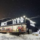 평창 휘닉스파크 이미지