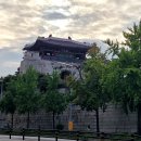 8월9일(토)서울DDP라이트축제 이미지