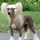 위풍당당한의원 이미지