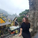 오가식당(보성스퀘어원내 위치) | 하노이 근교 여행 Tam Dao 땀다오 가는방법 가볼만한곳