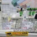 와이케이 더블유 이미지