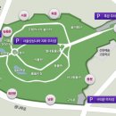 바투바투 이미지