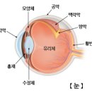 전북 수의약품(주) | 텔레그램 채널 2026년 1월 투자 에세이(1.1.~1.31.)