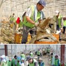 체신농장 이미지