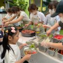 우리유치원 - 포항시 남구 | 우리 다연이네 햇살유치원, 즐거운 바베큐 파티 후기! 🌳🍖