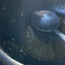새벽산책 제주일상 : 영화 “슬픔의 삼각형”