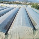 더그랜드섬오름 이미지