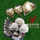 아이언 플렉스(IRON FLEX) 이미지