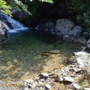 들물 관광 농원 이미지