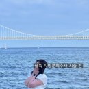 제4회 물*바람 소리 | 내돈내산으로 진행한 대전 팔뚝 지방분해주사 부작용 4회차 솔직후기