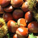 유원근농장 이미지