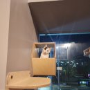 요나쿠아 | 5월에 만난 사랑스런 아이들