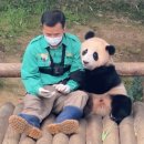 복덩이네 이미지