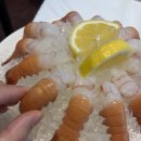 댕댕이포차 네이버블로그