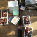 어사농장 이미지