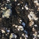 신인동 갓바위 이미지