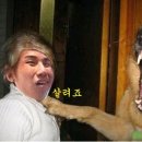 헐