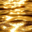 더미스티(The misty)