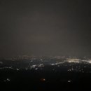 대파니힐링팜 이미지