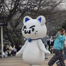 월간드림콘서트 | 투어스 팬미팅 막콘 후기 260329