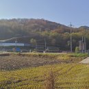 덕하천 이미지