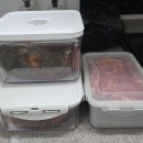 행운실비 이미지