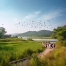 태양의 도시 서산 여행 가이드: 추천 관광지 코스, 축제와 볼거리, 숨은 명소, 음식