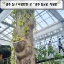 경주동궁원 | 경주 실내가볼만한 곳 동궁원 식물원 모녀여행