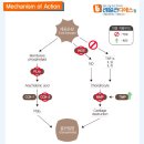 디에스케미칼 이미지