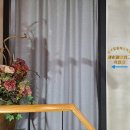 메이피부관리실