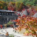 경남환경방역공사 이미지