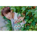 kimsungkyu 카카오 검색결과