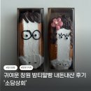 창원 | [창원] 귀여운 창원 밤티말빵 내돈내산 후기 '소담상회'