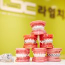 라임치과교정과치과의원 이미지