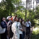 잣향기푸른숲 유아숲체험원 이미지