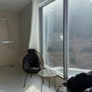 올라 아미고 펜션 | 부산 기장 애견동반 풀빌라 올라아미고 솔직후기