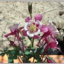 숲속나라어린이집 이미지