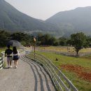 씨알목장 이미지